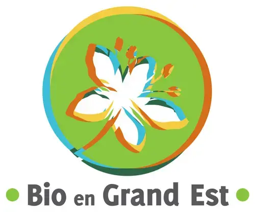 Emilie Poquet - LIVRE CUISINE BIO 