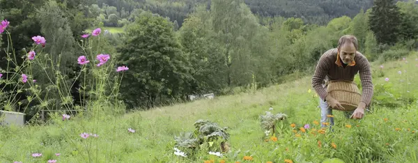 Autour de Colmar, une bio florissante